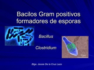 Bacilos Gram positivos formadores de esporas Bacillus Clostridium Blga. Jessie De la Cruz Lazo 
