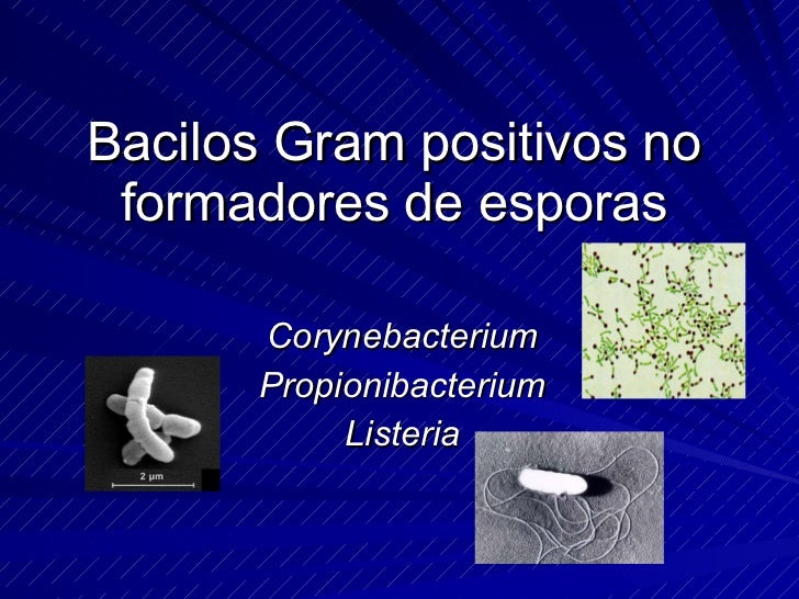 Bacilos Gram Positivos Formadores De Esporas