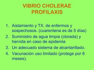 VIBRIO CHOLERAE
PROFILAXIS
1. Aislamiento y TX. de enfermos y
sospechosos. (cuarentena es de 5 días)
2. Suministro de agua limpia (clorada) y
hervida en caso de epidemia
3. Un adecuado sistema de alcantarillado.
4. Vacunación uso limitado (protege por 6
meses).

 