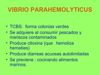 VIBRIO PARAHEMOLYTICUS
• TCBS: forma colonias verdes
• Se adquiere al consumir pescados y
mariscos contaminados
• Produce citoxina (que hemoliza
hematíes)
• Produce diarreas acuosas autolimitadas
• Se previene : cocinando alimentos
marinos.

 
