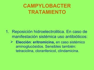 CAMPYLOBACTER
TRATAMIENTO

1. Reposición hidroelectrolitica. En caso de
manifestación sistémica uso antibióticos:
 Elección: eritromicina, en caso sistémico
aminoglucósidos. Sensibles también:
tetraciclina, cloranfenicol, clindamicina.

 