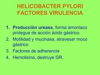 HELICOBACTER PYLORI
FACTORES VIRULENCIA
1. Producción ureasa, forma amoniaco
protegue de acción ácido gástrico.
2. Motilidad y mucinasa, atravesar moco
gástrico
3. Factores de adherencia
4. Hemolisina, destruye GR.

 