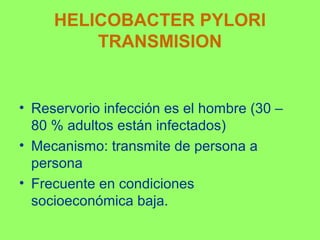 HELICOBACTER PYLORI
TRANSMISION

• Reservorio infección es el hombre (30 –
80 % adultos están infectados)
• Mecanismo: transmite de persona a
persona
• Frecuente en condiciones
socioeconómica baja.

 
