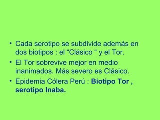• Cada serotipo se subdivide además en
dos biotipos : el “Clásico “ y el Tor.
• El Tor sobrevive mejor en medio
inanimados. Más severo es Clásico.
• Epidemia Cólera Perú : Biotipo Tor ,
serotipo Inaba.

 
