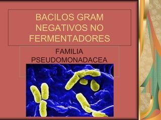 BACILOS GRAM 
 NEGATIVOS NO 
FERMENTADORES 
     FAMILIA 
PSEUDOMONADACEA
PSEUDOMONADACEA 
 