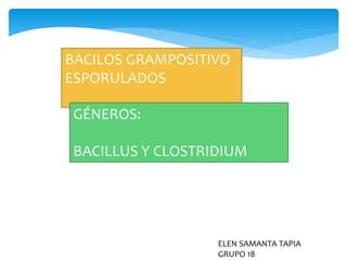BACILOS GRAMPOSITIVO 
ESPORULADOS 
GÉNEROS: 
BACILLUS Y CLOSTRIDIUM 
ELEN SAMANTA TAPIA 
GRUPO 18 
 