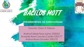 BACILOS MOTT
micobacterias no tuberculosas
Docente: Oskar A. Palacios
Andrea Fabiola Nava Juarez 330062
Armando René Camuñez Castillo 330177
Andrea Reyes Gonzalez 330170
1
 