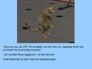 ‘Kom op nou, zit, ZIT!’ En eindelijk, na ruim drie uur, begreep Amor het
en kwam hij voorzichtig overeind.
‘Ja!’ zuchtte Roos opgelucht. ‘Je kan het wel.’
Snel beloonde ze hem met een kattensnoepje.
 