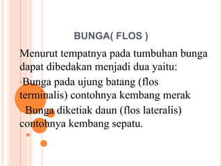 BUNGA( FLOS )
Menurut tempatnya pada tumbuhan bunga
dapat dibedakan menjadi dua yaitu:
•Bunga pada ujung batang (flos
terminalis) contohnya kembang merak
• Bunga diketiak daun (flos lateralis)
contohnya kembang sepatu.
 