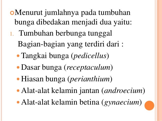 Ppt Morfologi Tumbuhan Bunga