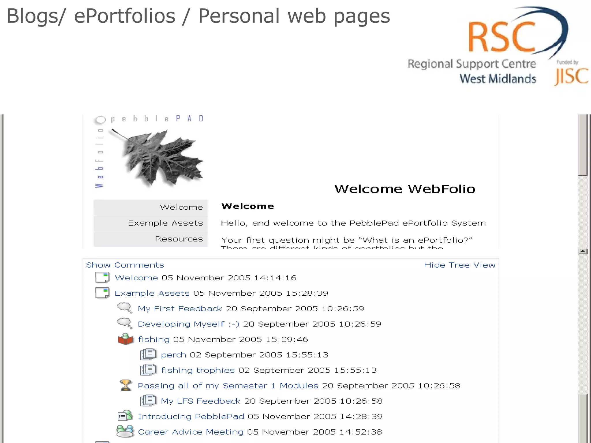 Blogs/ ePortfolios / Personal web pages 