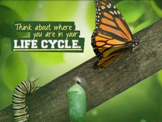 Think about where
LIFE CYCLE.
you are in your
 
