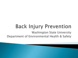 Washington State University
Department of Environmental Health & Safety
 