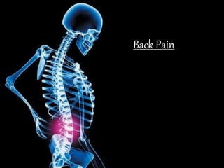 Understand Anatomy
Back Pain
 
