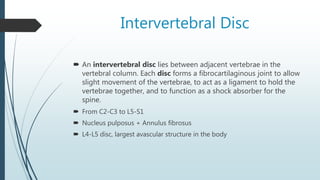 Intervertebral Disc
 An intervertebral disc lies between adjacent vertebrae in the
vertebral column. Each disc forms a fibrocartilaginous joint to allow
slight movement of the vertebrae, to act as a ligament to hold the
vertebrae together, and to function as a shock absorber for the
spine.
 From C2-C3 to L5-S1
 Nucleus pulposus + Annulus fibrosus
 L4-L5 disc, largest avascular structure in the body
 