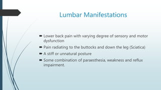 Lumbar Manifestations
 Lower back pain with varying degree of sensory and motor
dysfunction
 Pain radiating to the buttocks and down the leg (Sciatica)
 A stiff or unnatural posture
 Some combination of paraesthesia, weakness and reflux
impairment.
 