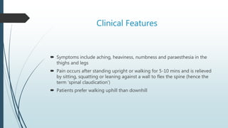 Clinical Features
 Symptoms include aching, heaviness, numbness and paraesthesia in the
thighs and legs
 Pain occurs after standing upright or walking for 5-10 mins and is relieved
by sitting, squatting or leaning against a wall to flex the spine (hence the
term ‘spinal claudication’)
 Patients prefer walking uphill than downhill
 