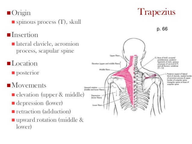 Back and ab (part 1)