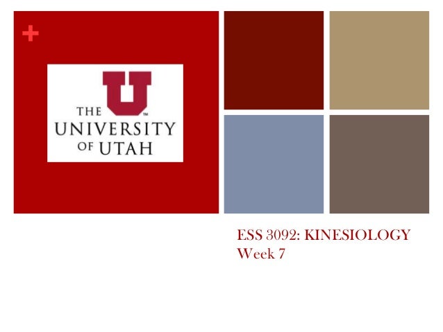 +
ESS 3092: KINESIOLOGY
Week 7
 