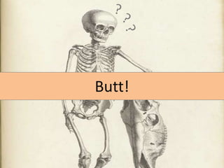 Butt!

 