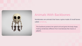 Animal Backbone.model Backbone Breakdown: Vertebrates Animalss | PPTX