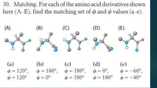 Backbone of peptide chain