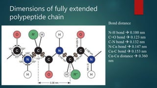 Dimensions of fully extended
polypeptide chain
Bond distance
N-H bond  0.100 nm
C=O bond  0.123 nm
C-N bond  0.132 nm
N-Cα bond  0.147 nm
Cα-C bond  0.153 nm
Cα-Cα distance  0.360
nm
 