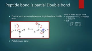 Peptide bond is partial Double bond
 Peptide bond resonates between a single bond and double
bond
 Partial double bond
Proof of Partial double bond
• In peptide bond C-N distance
is 0.132 nm
• But
• C-N = 149 nm
• C=N = 127 nm
 