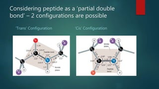 Considering peptide as a ‘partial double
bond’ – 2 configurations are possible
‘Trans’ Configuration ‘Cis’ Configuration
 