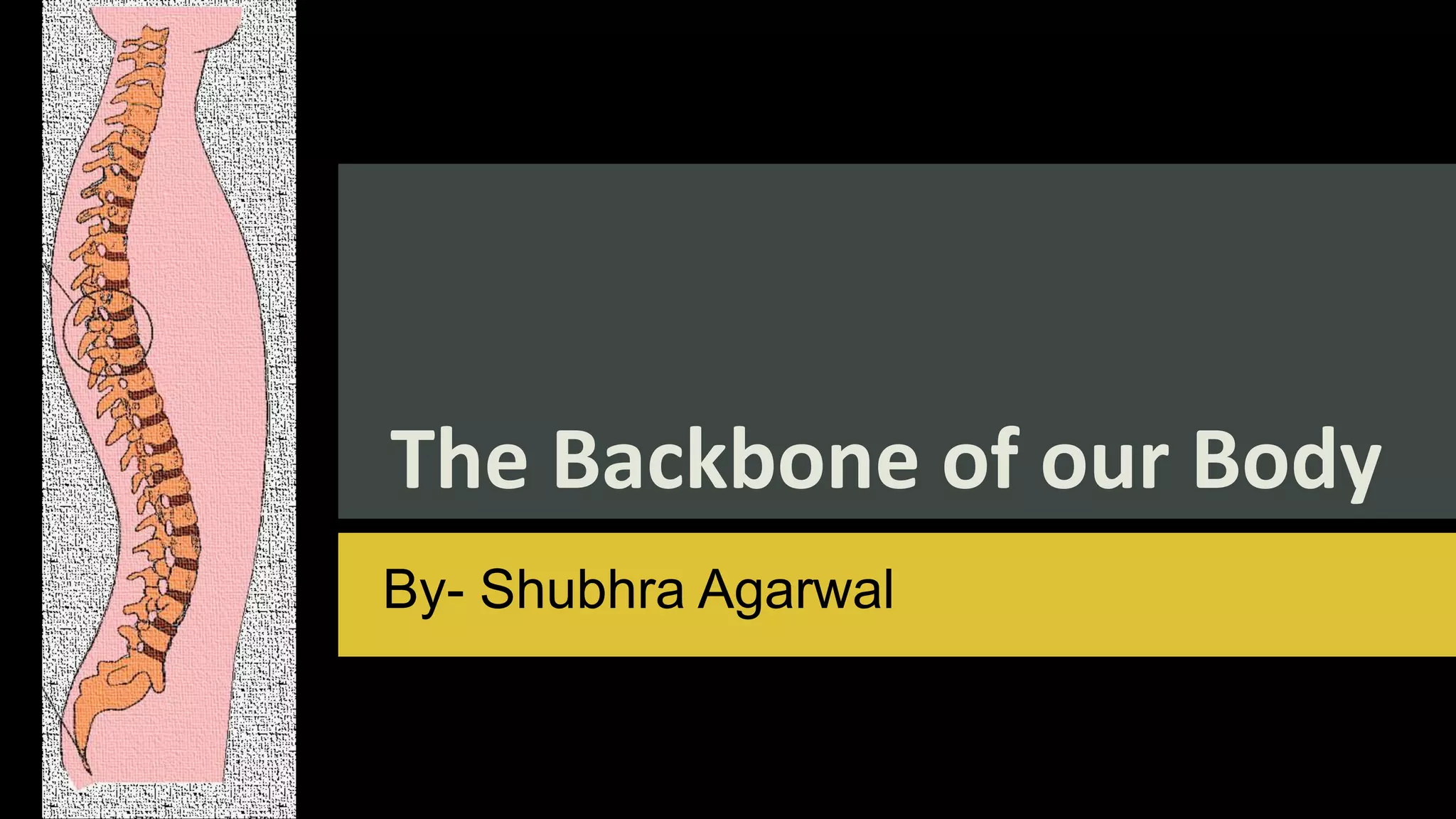 The Backbone of our Body
By- Shubhra Agarwal