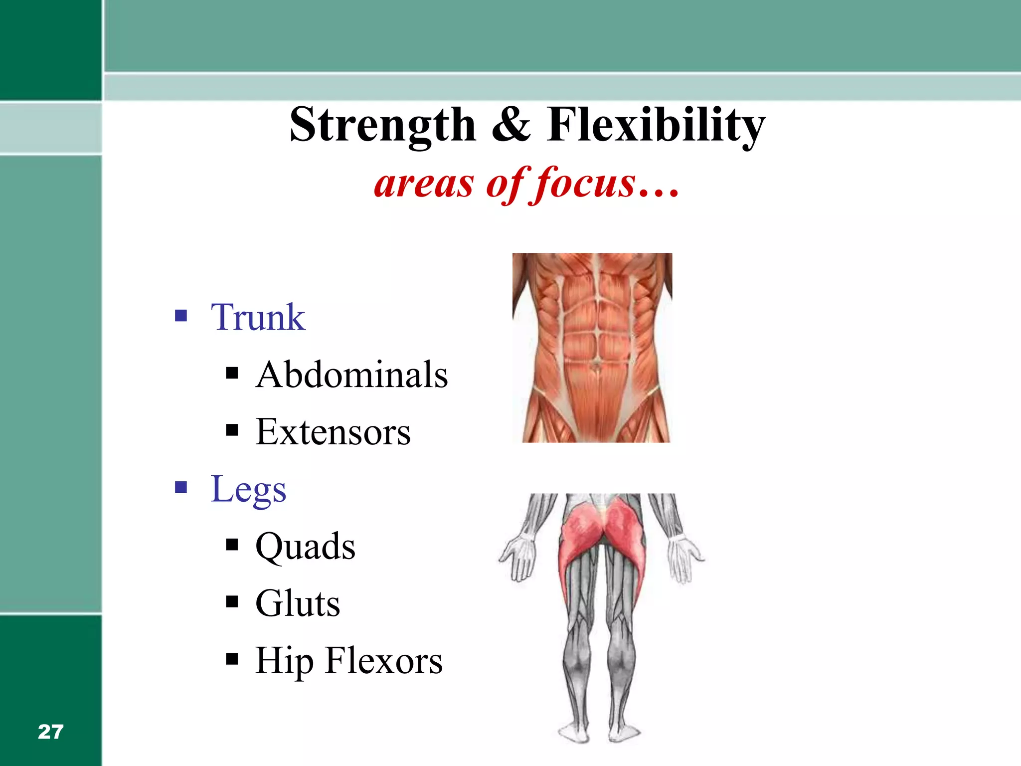 27
 Trunk
 Abdominals
 Extensors
 Legs
 Quads
 Gluts
 Hip Flexors
Strength & Flexibility
areas of focus…
 