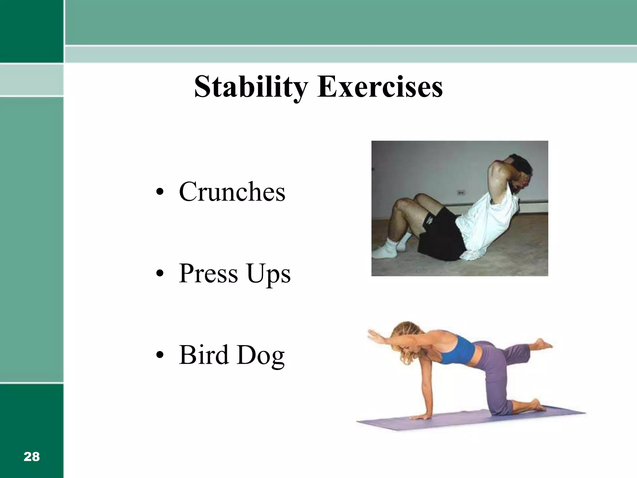 28
Stability Exercises
• Crunches
• Press Ups
• Bird Dog
 