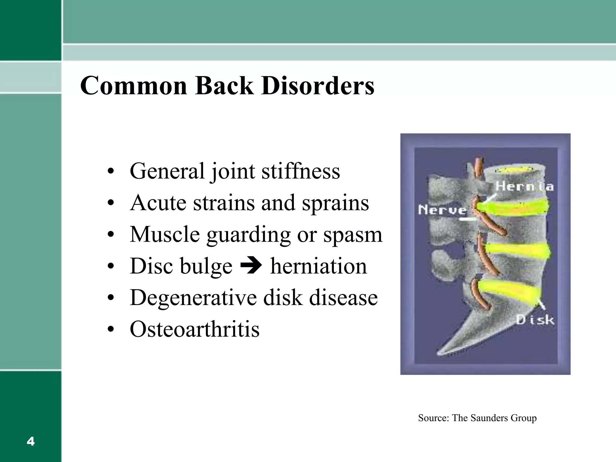 4
Common Back Disorders
• General joint stiffness
• Acute strains and sprains
• Muscle guarding or spasm
• Disc bulge  herniation
• Degenerative disk disease
• Osteoarthritis
Source: The Saunders Group
 