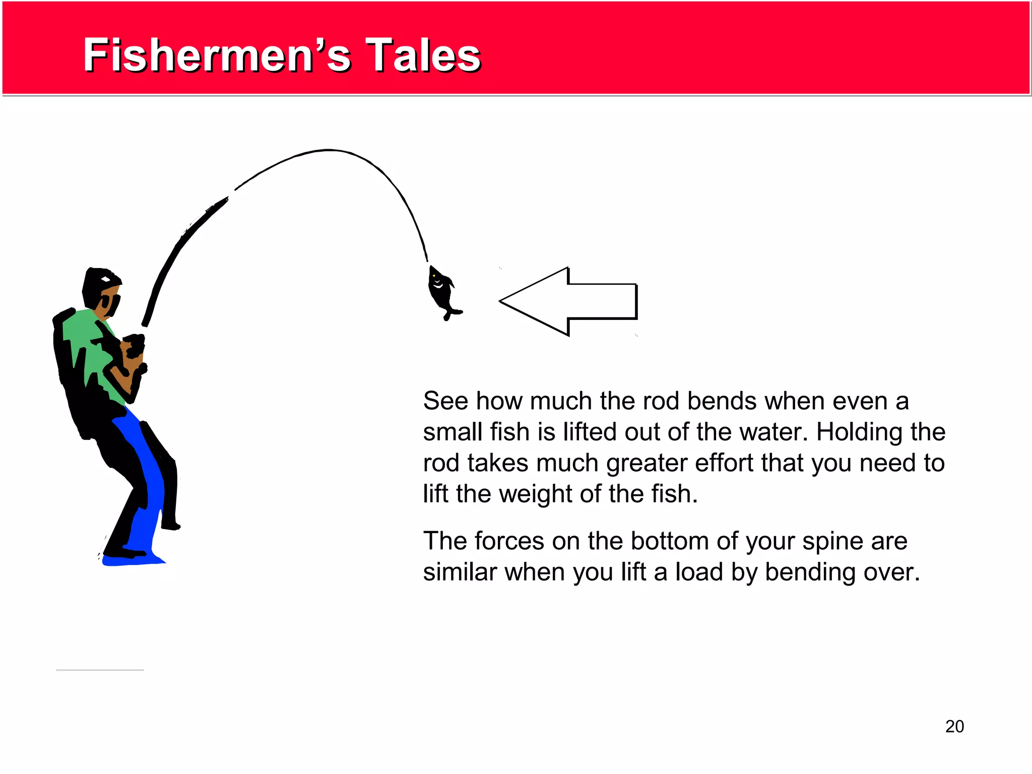 20
Fishermen’s TalesFishermen’s Tales
See how much the rod bends when even a
small fish is lifted out of the water. Holding the
rod takes much greater effort that you need to
lift the weight of the fish.
The forces on the bottom of your spine are
similar when you lift a load by bending over.
 