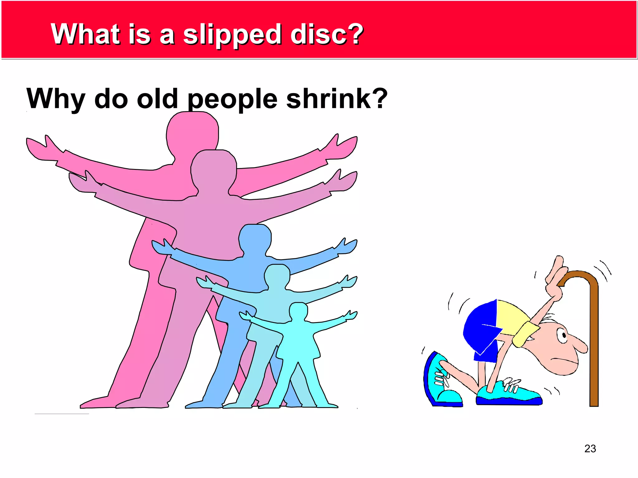 23
What is a slipped disc?What is a slipped disc?
Why do old people shrink?
 