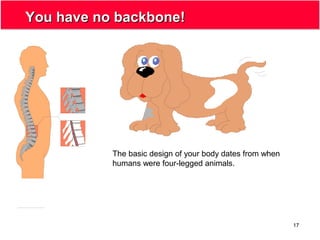17
You have no backbone!You have no backbone!
The basic design of your body dates from when
humans were four-legged animals.
 