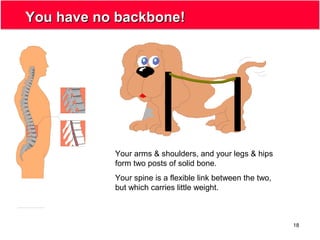 18
You have no backbone!You have no backbone!
Your arms & shoulders, and your legs & hips
form two posts of solid bone.
Your spine is a flexible link between the two,
but which carries little weight.
 