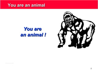 2
You are an animalYou are an animal
You areYou are
an animal !an animal !
 