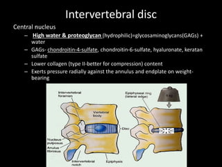 Intervertebral disc
Central nucleus
– High water & proteoglycan (hydrophilic)=glycosaminoglycans(GAGs) +
water
– GAGs- chondroitin-4-sulfate, chondroitin-6-sulfate, hyaluronate, keratan
sulfate
– Lower collagen (type II-better for compression) content
– Exerts pressure radially against the annulus and endplate on weight-
bearing
 