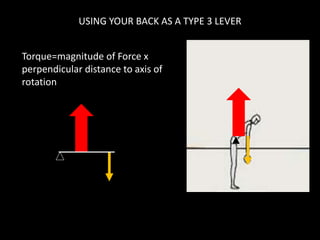 USING YOUR BACK AS A TYPE 3 LEVER
Torque=magnitude of Force x
perpendicular distance to axis of
rotation
 