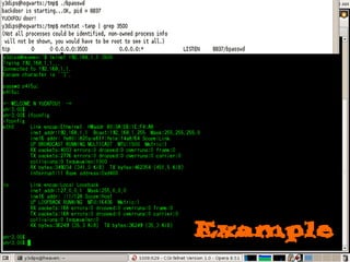 backdooring workshop