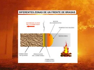 FENOMENOS DE BACKDRAF FLASHOVER EN LA ACTIVIDAD DE PROTECCION CONTRA ...