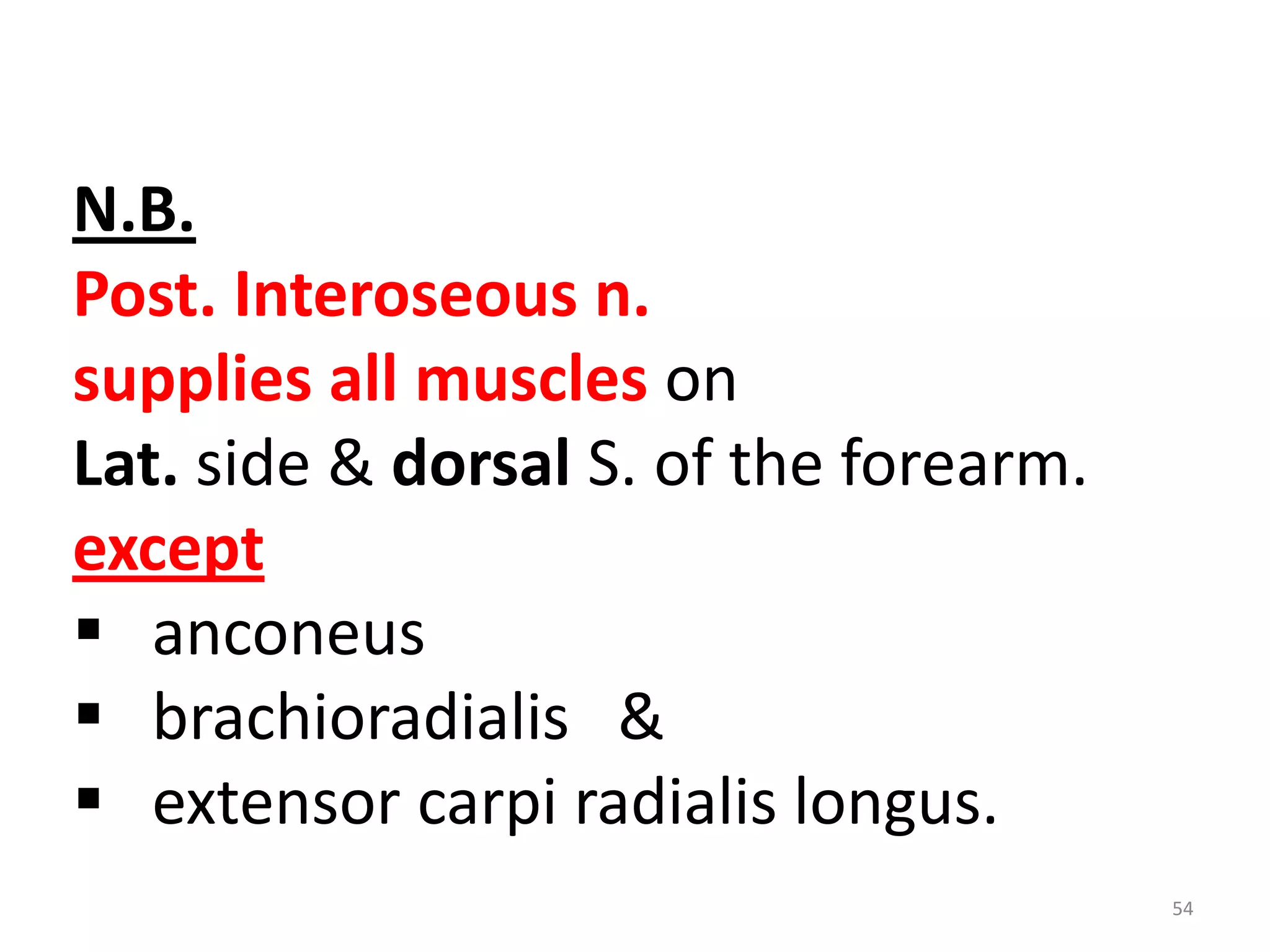 54
N.B.
Post. Interoseous n.
supplies all muscles on
Lat. side & dorsal S. of the forearm.
except
 anconeus
 brachioradialis &
 extensor carpi radialis longus.
 