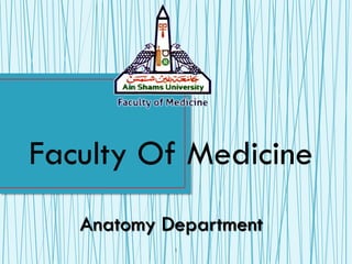 Faculty Of Medicine
Anatomy Department
1
 