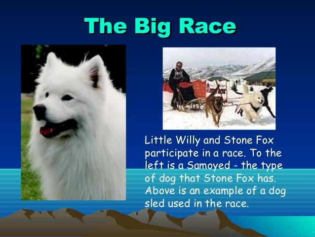 Stone Fox background information