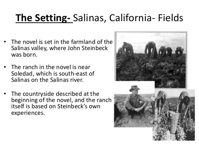 an overview of the book of mice and men by john steinbeck - john steinbeck (1902 – 1968) was born in salinas, california, which was also were the book ‘of mice and men’ was set at the time john steinbeck introduced the book ‘of mice and men’, money was a really big issue. an overview of the book of mice and men by john steinbeck - john steinbeck (1902 – 1968) was born in salinas, california, which was also were the book ‘of mice and men’ was set at the time john steinbeck introduced the book ‘of mice and men’, money was a really big issue.