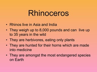 Rhinoceros
• Rhinos live in Asia and India
• They weigh up to 8,000 pounds and can live up
  to 35 years in the wild
• They are herbivores, eating only plants
• They are hunted for their horns which are made
  into medicine
• They are amongst the most endangered species
  on Earth
 