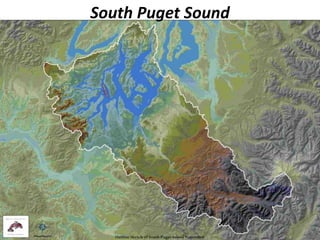 South Puget Sound
 