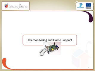 18
Telemonitoring and Home Support
 