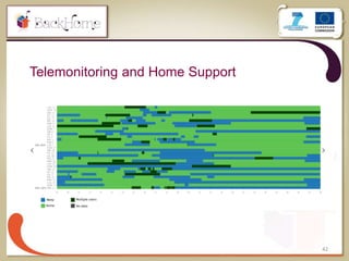 42
Telemonitoring and Home Support
 